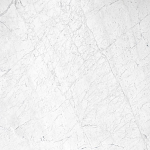 White Carrara Honed image
