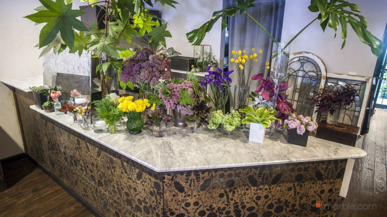 Statuario Marble Coffee and Flower Shop Countertops | Marble.com
