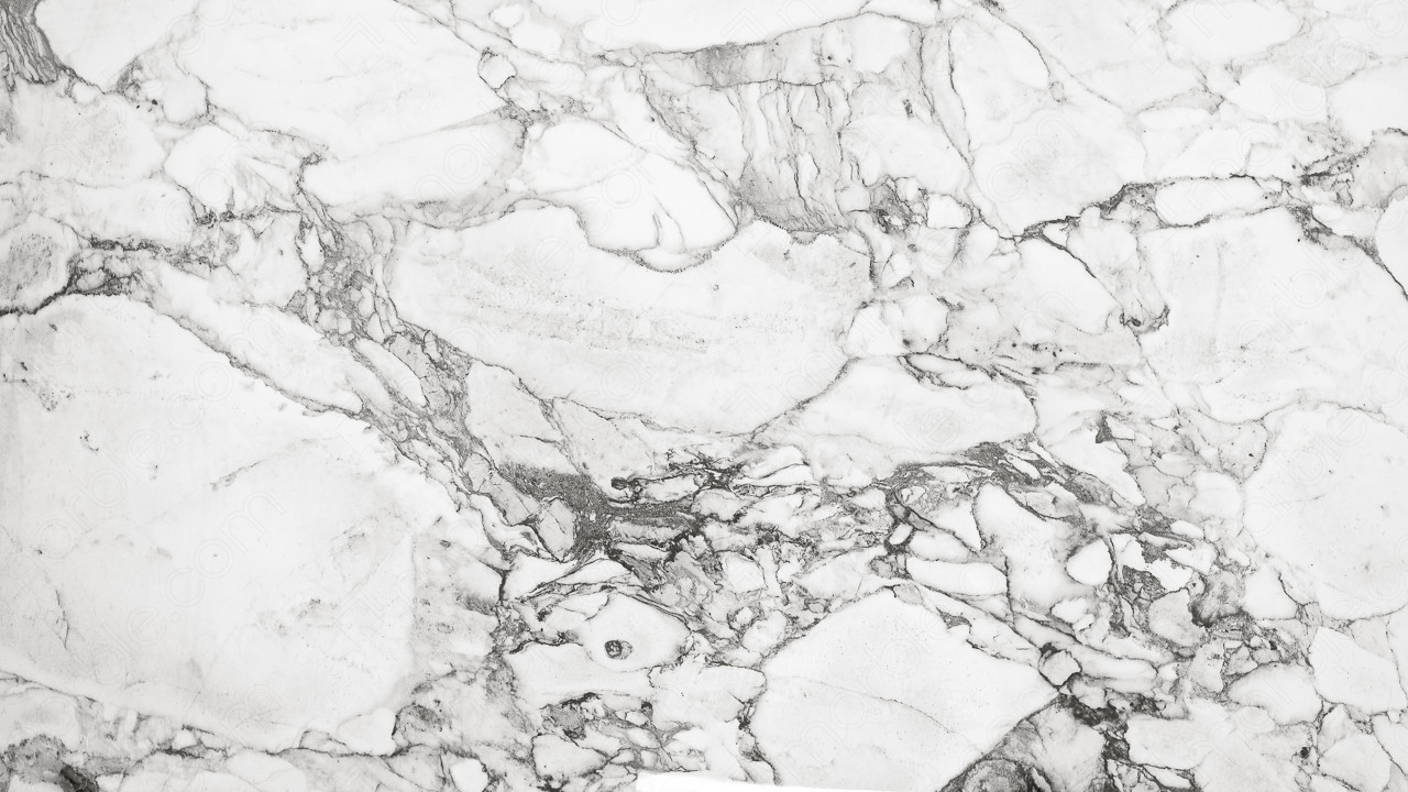 Elle Marble White Porcelain