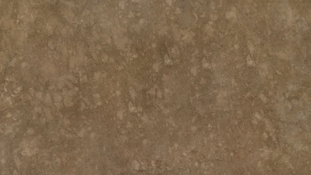 Valverde Polished Limestone