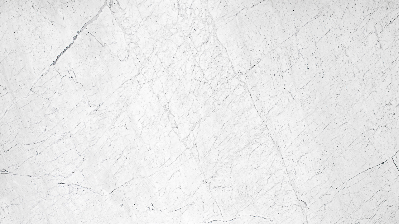 White Carrara Honed Marble