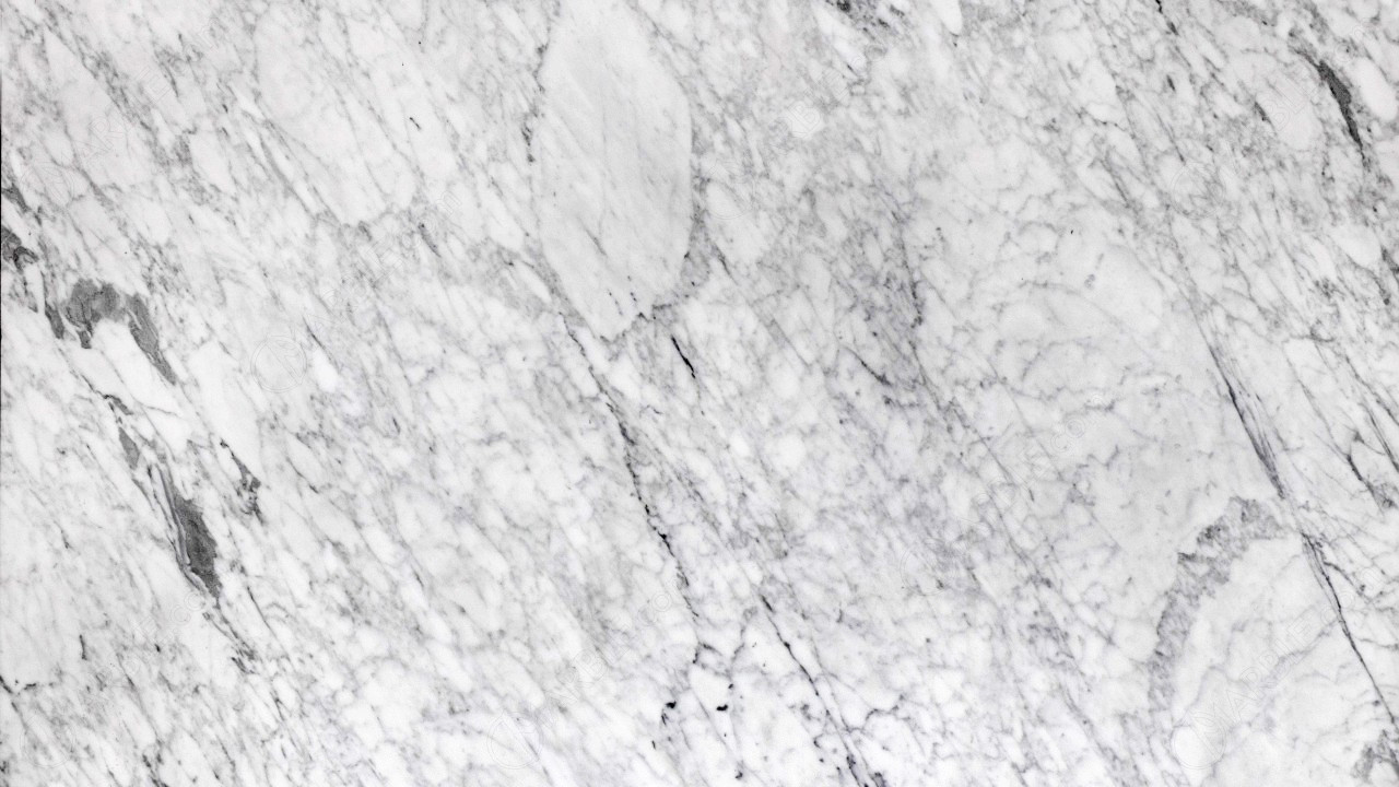 White Carrara Venatino Marble