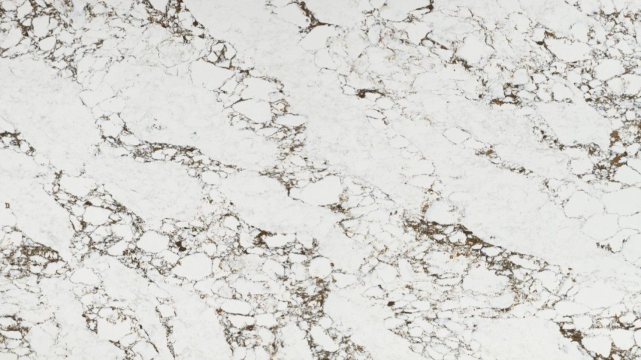 Calacatta Capria Raphael Stone Quartz Quartz