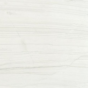  White Lux Vitoria Stone Quartzite