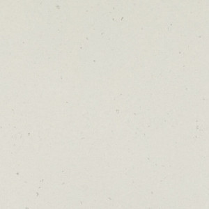  4141 Misty Carrera Caesarstone Quartz