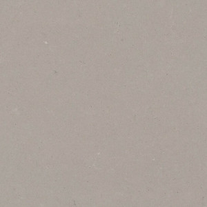 4004 Raw Concrete Caesarstone Quartz image