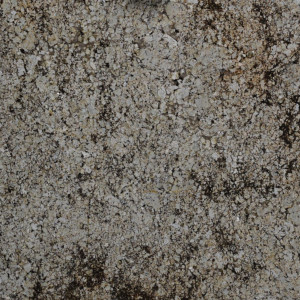 Delicatus Cream Rq Granite image