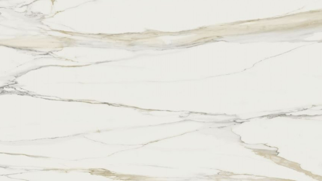 Calacatta Gold B Porcelain Porcelain