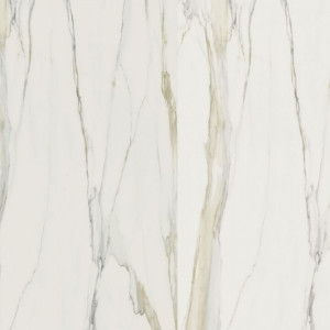 Marble Calacatta Gold Rq Porcelain image