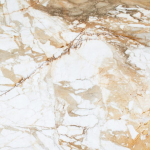 Calacatta Macchia Vecchia Rq Marble image