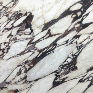 Calacatta Viola Rq Marble image