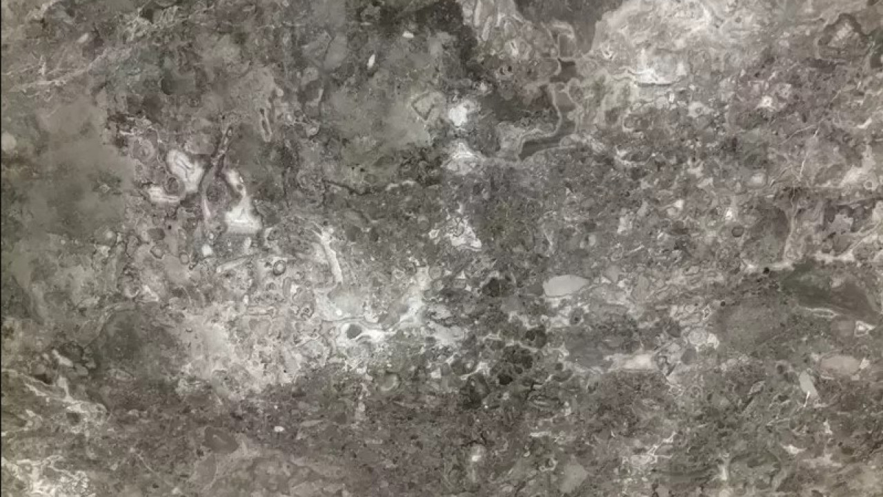 Grigio Billiemi Rq Marble Marble