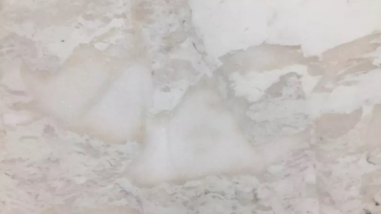 Leopard Marble Rq Marble Marble