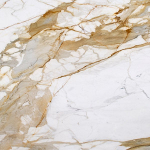 Calacatta Macchia Vecchia Honed Premium Marbl image