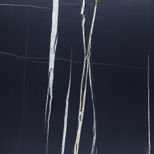 Calacatta Sahara Noir Stone Basyx Marble image