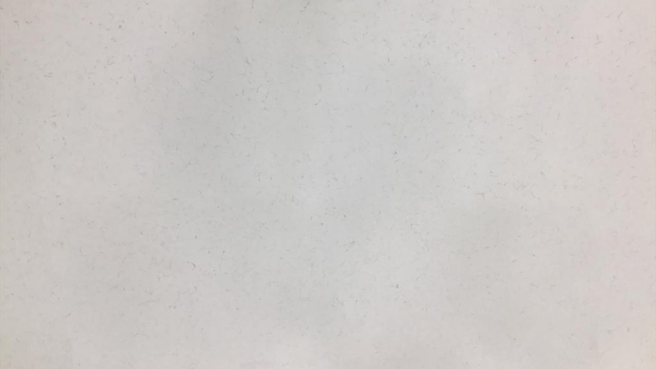 Carrara Brown Foundation Quartz Quartz