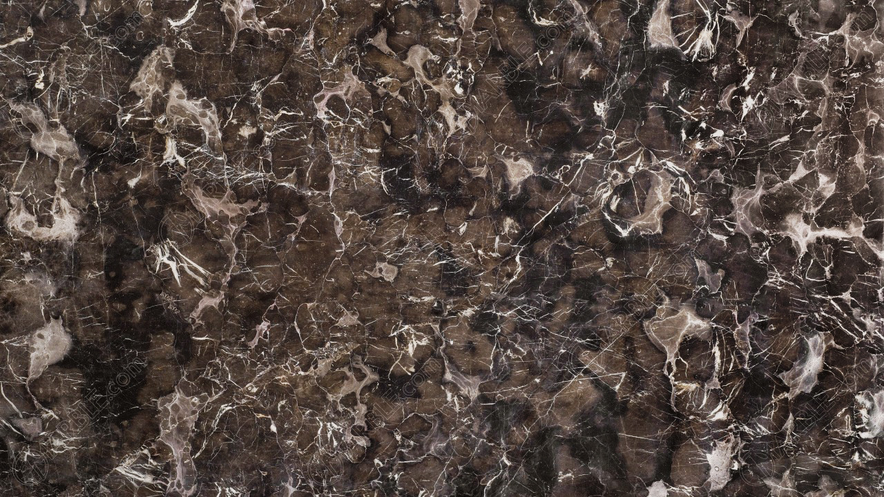 Dynasty Brown Marble