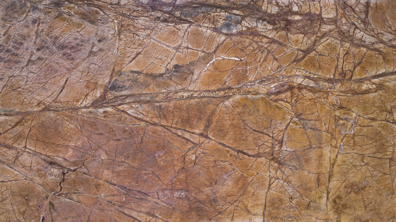 Best Rainforest Brown Marble Pictures Costs Marble Com