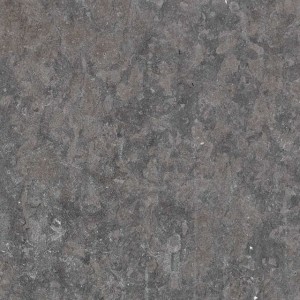  Valverde Limestone